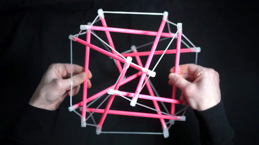 Tensegrity Dynamics of Fascia — Course Only