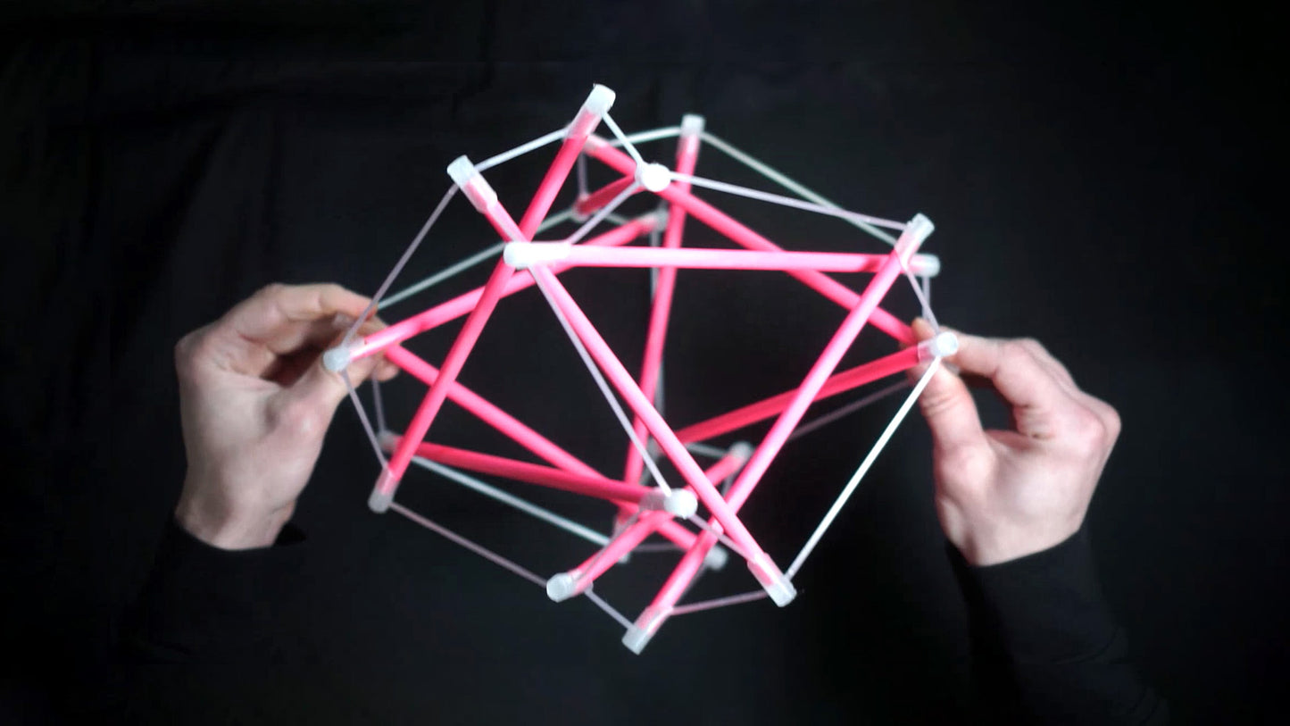 Tensegrity Dynamics of Fascia — Beta Class