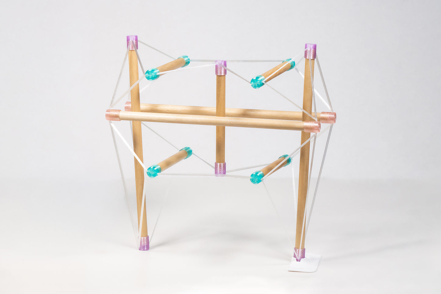 Tensegrity Pelvis Model