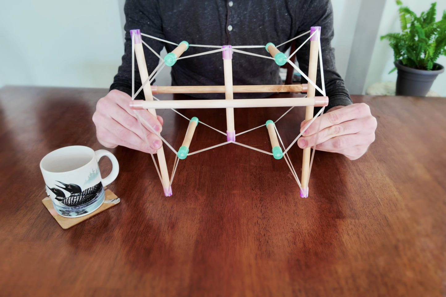Tensegrity Pelvis Model