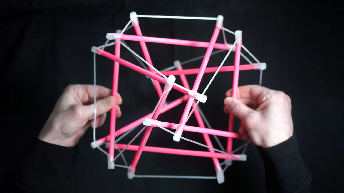 Tensegrity Dynamics of Fascia — Beta Class