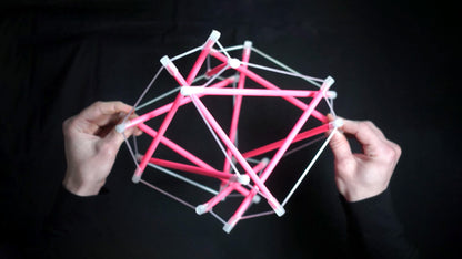 Tensegrity Dynamics of Fascia — Beta Class