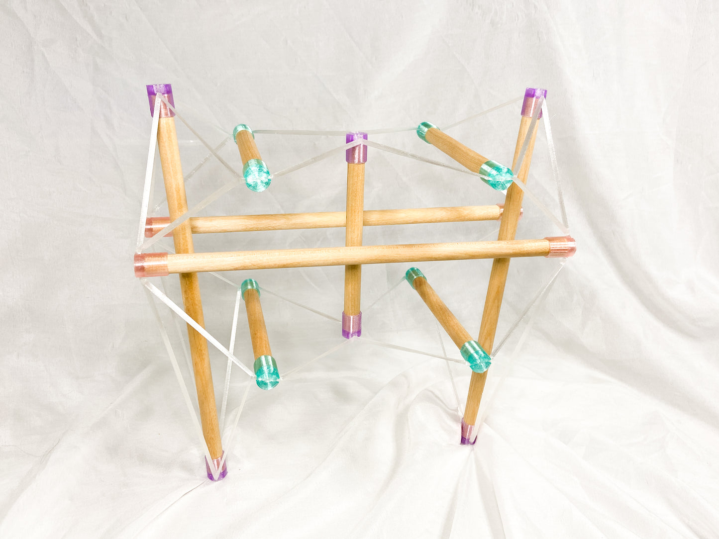 Tensegrity Pelvis Model