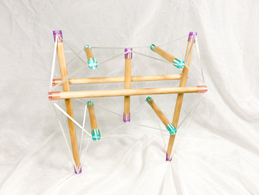 Tensegrity Pelvis Model