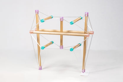 Tensegrity Pelvis Model