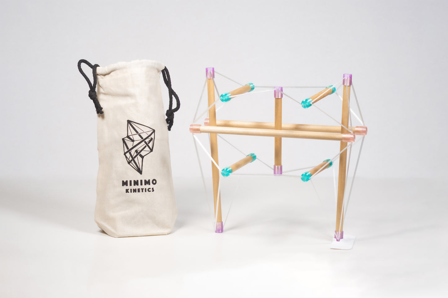 Tensegrity Pelvis Model