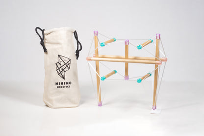 Tensegrity Pelvis Model