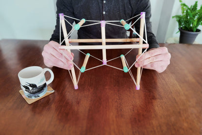 Tensegrity Pelvis Model