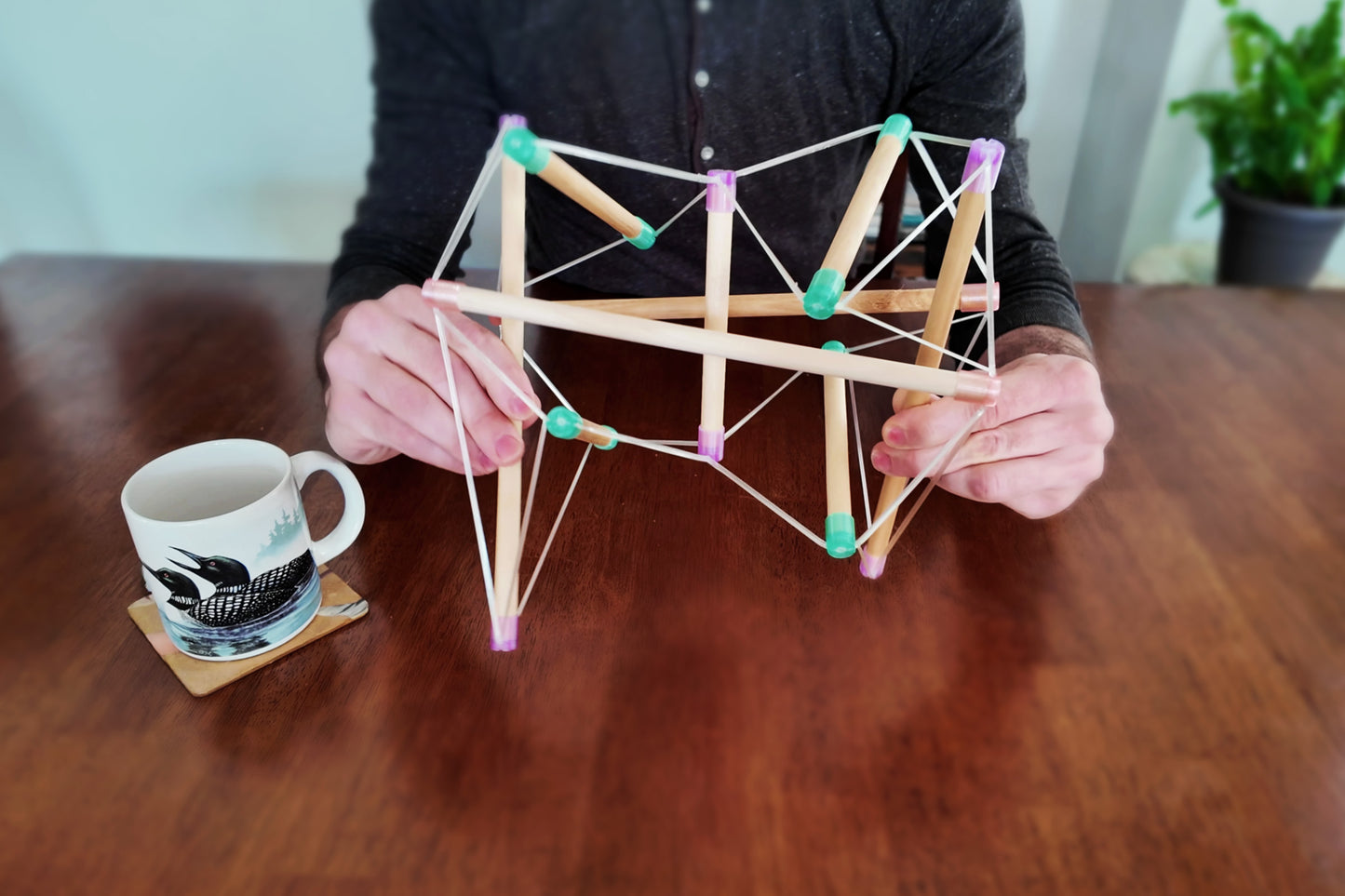 Tensegrity Pelvis Model