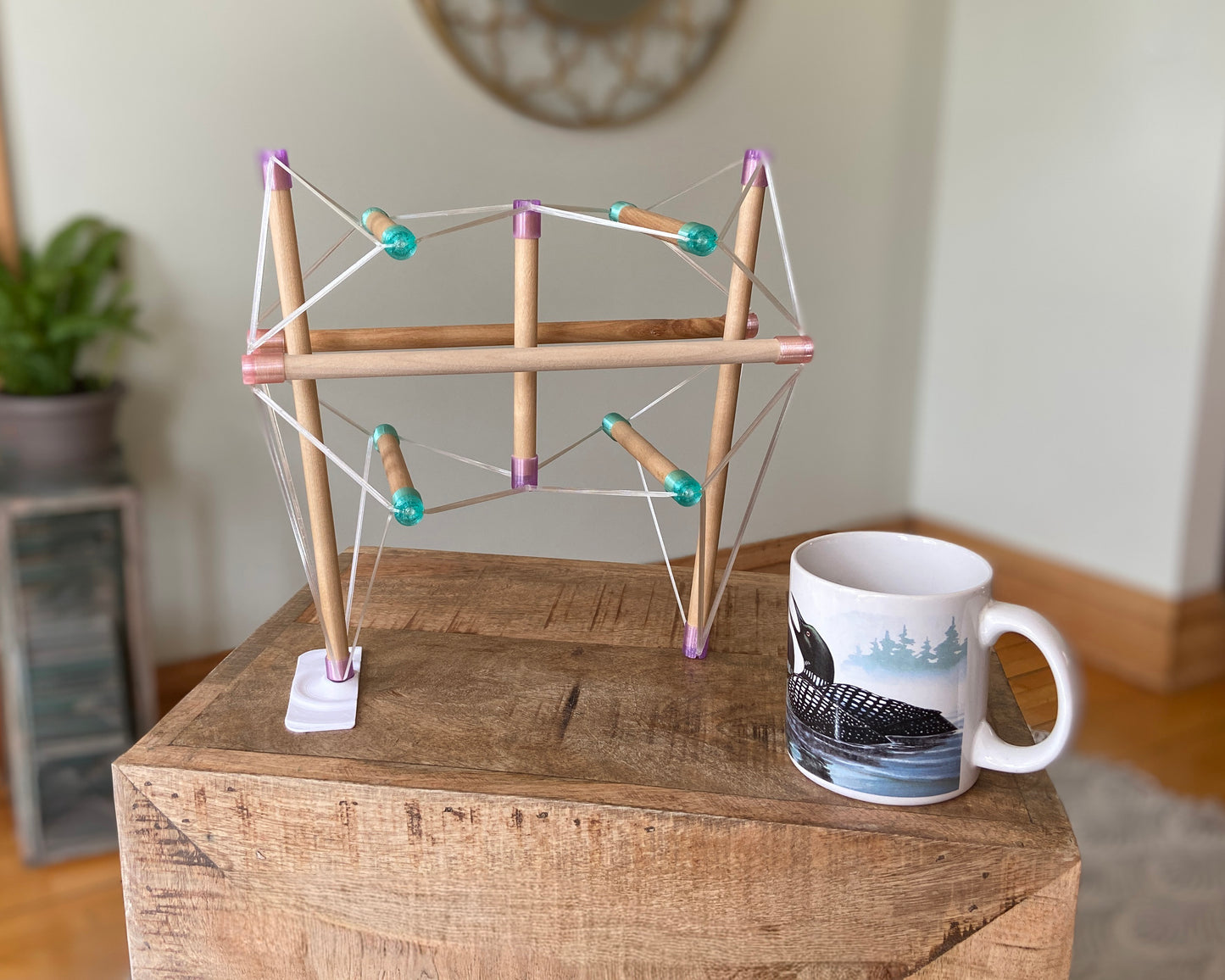 Tensegrity Pelvis Model