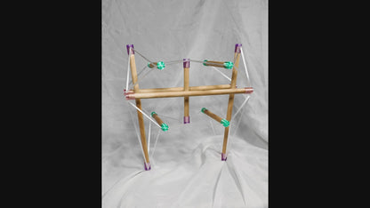 Tensegrity Pelvis Model