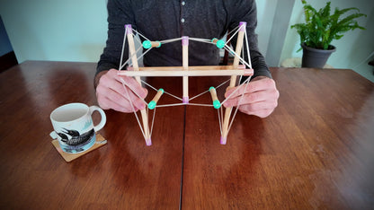 Tensegrity Pelvis Model